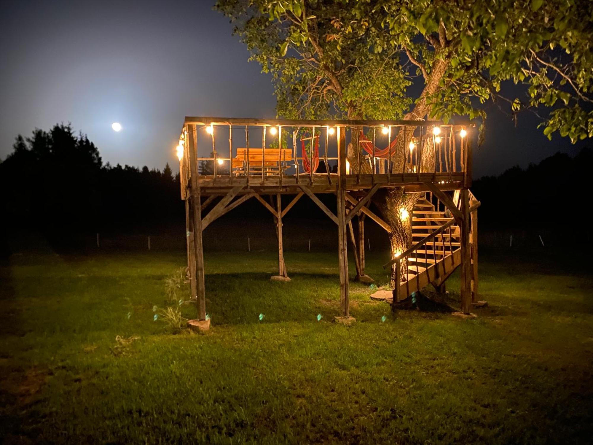 Holiday Nature House Izvoare  Extérieur photo