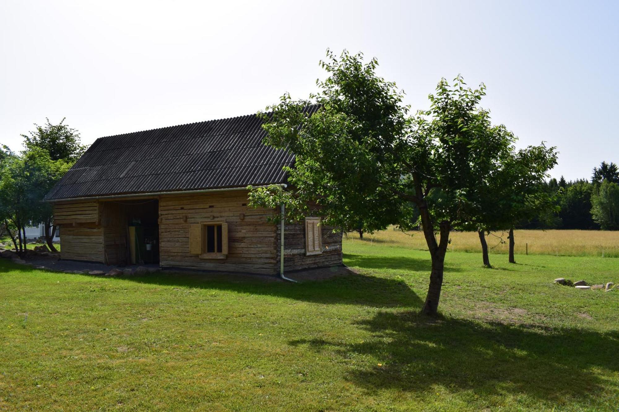 Holiday Nature House Izvoare  Extérieur photo